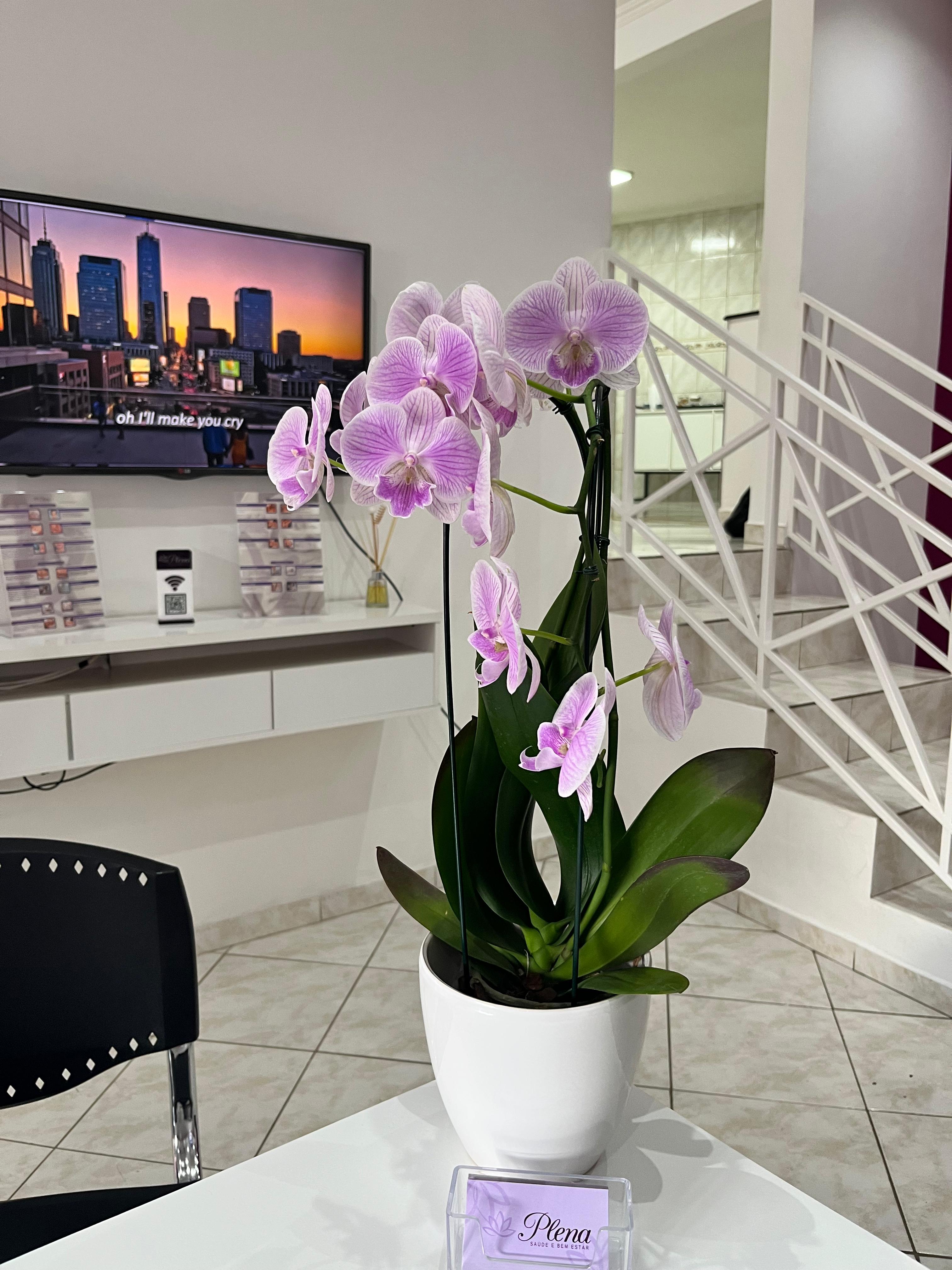 Interior da clínica Plena Saúde e Bem Estar em Sorocaba